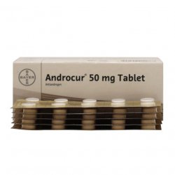 Андрокур (Ципротерон) таблетки 50мг №50 в Таганроге и области фото