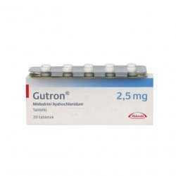 Гутрон таблетки 2,5 мг. №20 в Таганроге и области фото